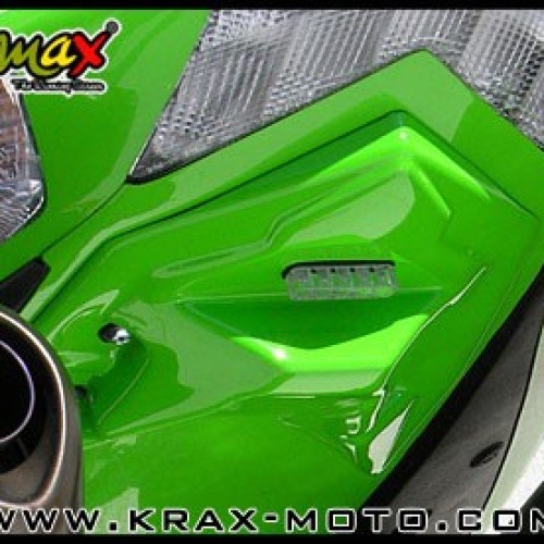 Support de plaque Ermax 2006/07 - ZX10 R - Kawasaki