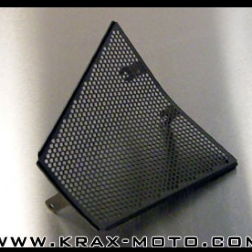 Grille de radiateur inf. - Streetfighter 1098 - Ducati