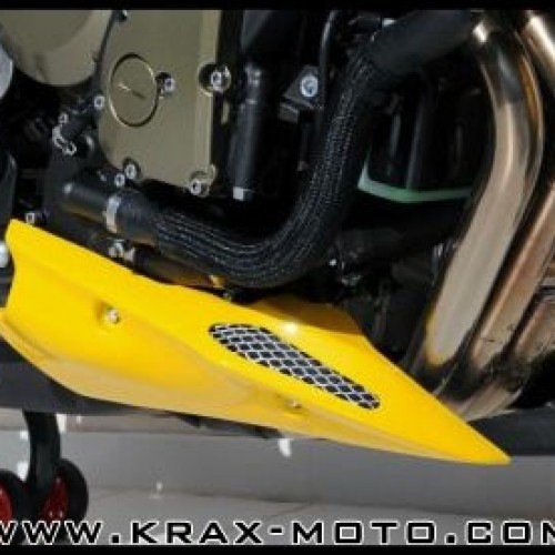 Sabot Ermax - XJ6 - Diversion - Yamaha