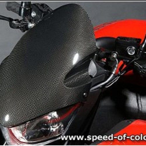 Saute vent Speed of Color carbone 1125 CR - Buell