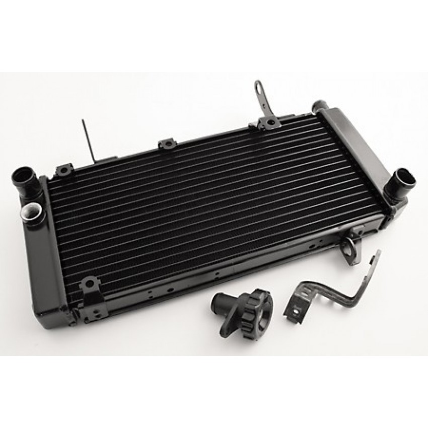 Radiateur type origine Motoprofessional - SV1000 S 2003-06 - Suzuki