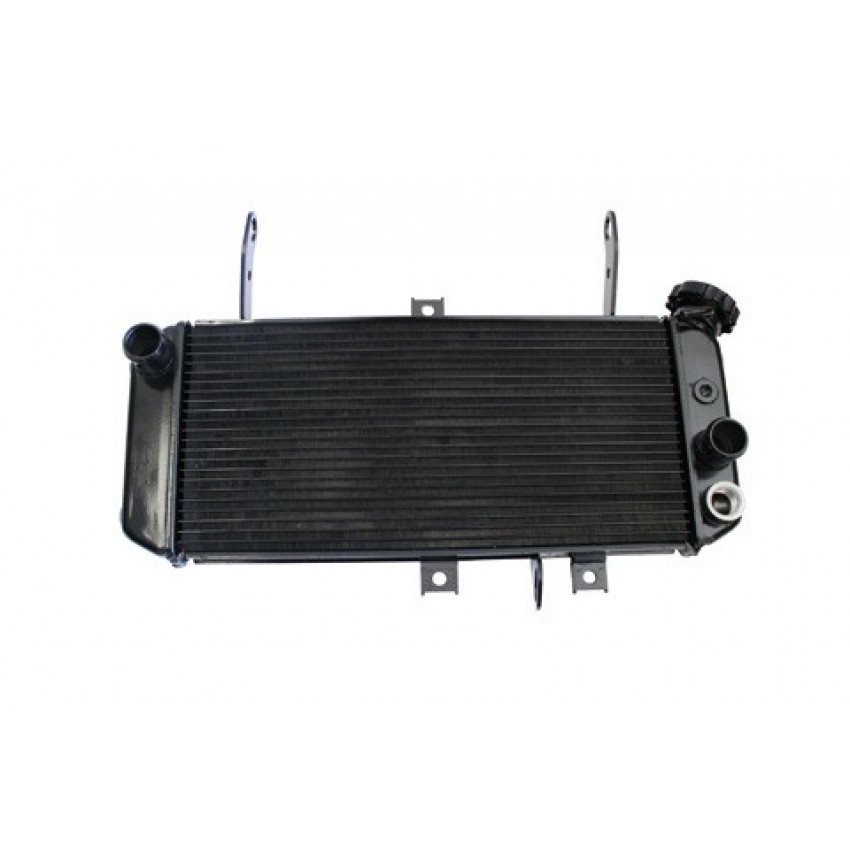 Radiateur type origine Motoprofessional - SV 650 N/S 2005-10 - Suzuki