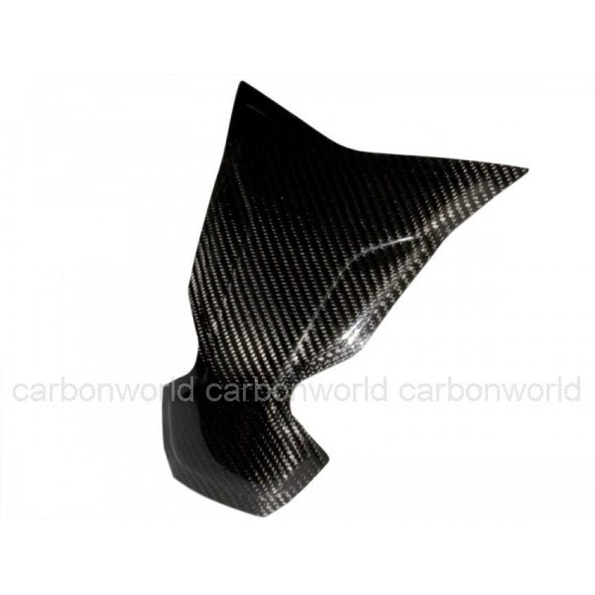 Protège réservoir carbone Race S1000 RR BMW KraxMoto