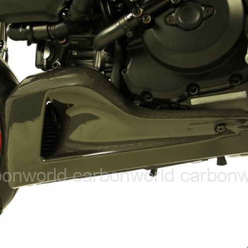 Flancs de sabot carbone - Diavel - Ducati