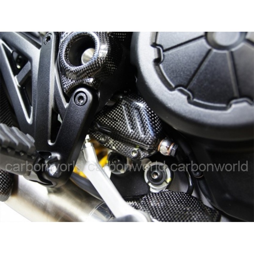 Protection maître-cylindre Ar. carbone - Diavel - Ducati