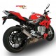 Silencieux Bodis GP1-R - S1000 R - BMW