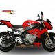 Silencieux Bodis GPC-R - S1000 R - BMW