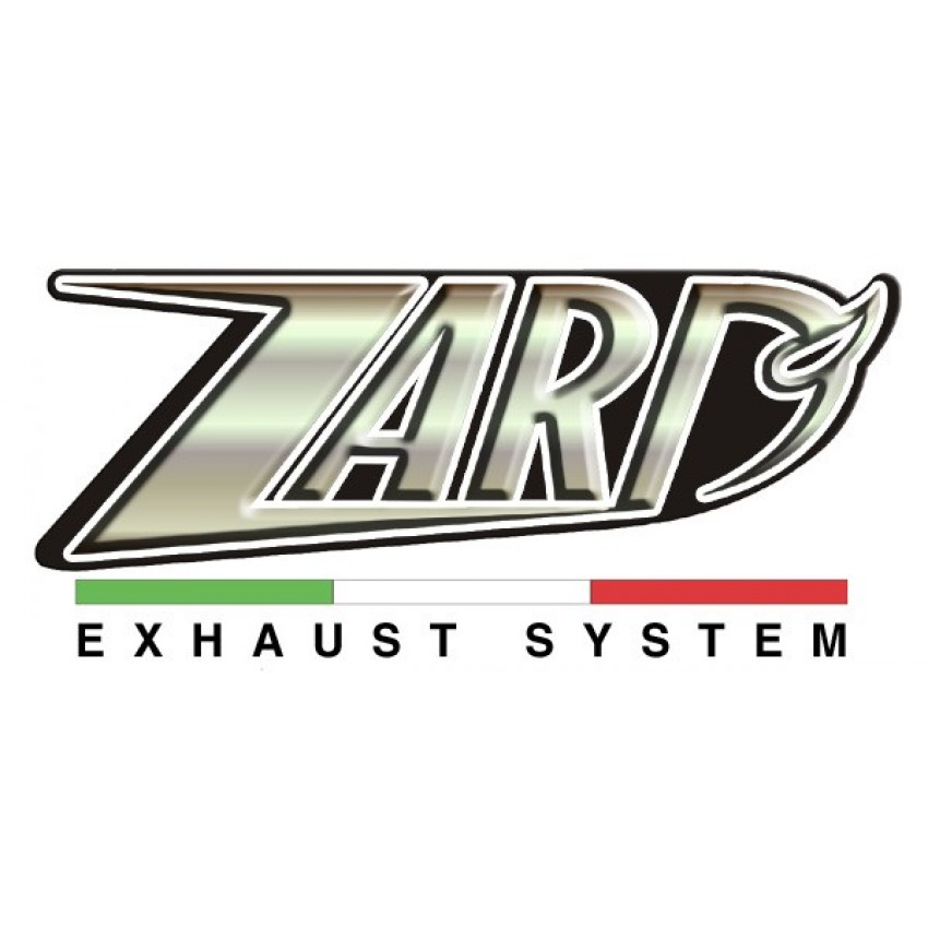 Collecteur Zard 2 en 2 Racing 2014/2015 - R Nine T - BMW