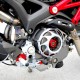 Ligne Zard Penta Racing 2009-13 - Monster 1100 - Ducati