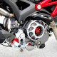 Ligne Zard Penta Racing Titane 2009-13 - Monster 1100 - Ducati