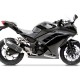 Ligne Zard Penta Racing - Ninja 250/300 - Kawasaki