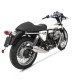 Collecteur Racing Zard 2009/2010 - V7 - Moto Guzzi