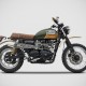 Ligne Zard Gold Edition Homologuée 2008/2015 - Scrambler - Triumph