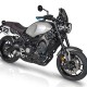 Saute vent Barracuda Aerosport - XSR900 - Yamaha