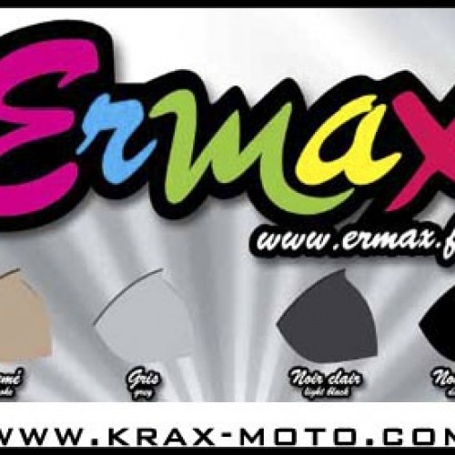 Saute vent Ermax 2009 - ER6 - Kawasaki