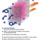 Filtre à air DNA individuel Hexagonal D.51mm (8 coloris)