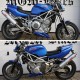 Sabot moteur MGM Bikes BS115 - TRX 850 - Yamaha