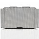 Grille de radiateur Evotech Performance - CB1000 R 2018-19 - Honda