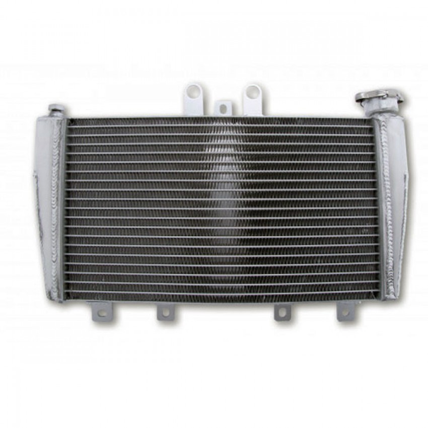 Radiateur type origine Motoprofessional - Speed Triple 2005-10 - Triumph