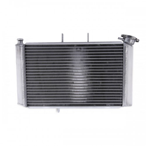 Radiateur type origine Motoprofessional - Tiger 800 2010-14 - Triumph