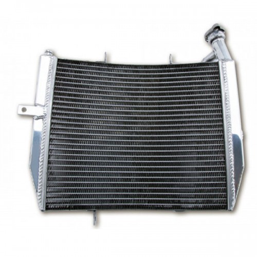 Radiateur type origine Motoprofessional - Daytona 675 2006-12 - Triumph