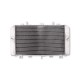 Radiateur type origine Motoprofessional 2003-06 - Z1000 - Kawasaki